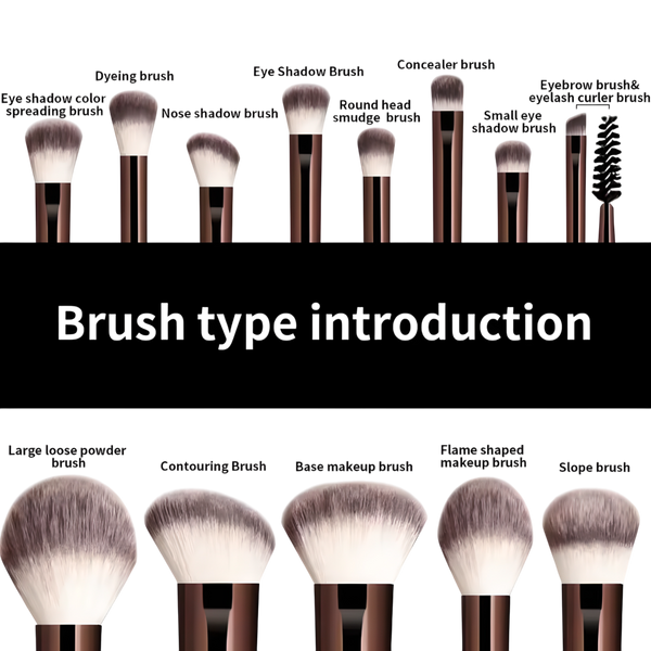 Different types of Briselle makeup brushes including powder, contour, eyeshadow and eyebrow brushes with labels