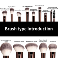 Different types of Briselle makeup brushes including powder, contour, eyeshadow and eyebrow brushes with labels